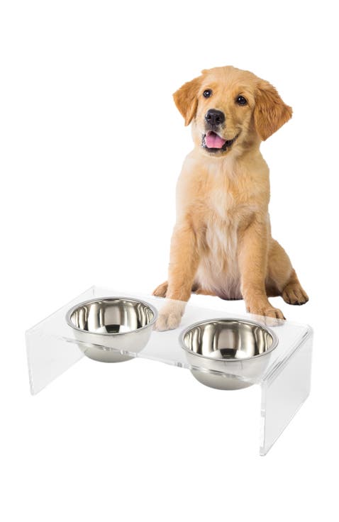 Keaton Modern Lucite Rectangular Elevated Pet Feeder with 2-Stainless Steel Bowls