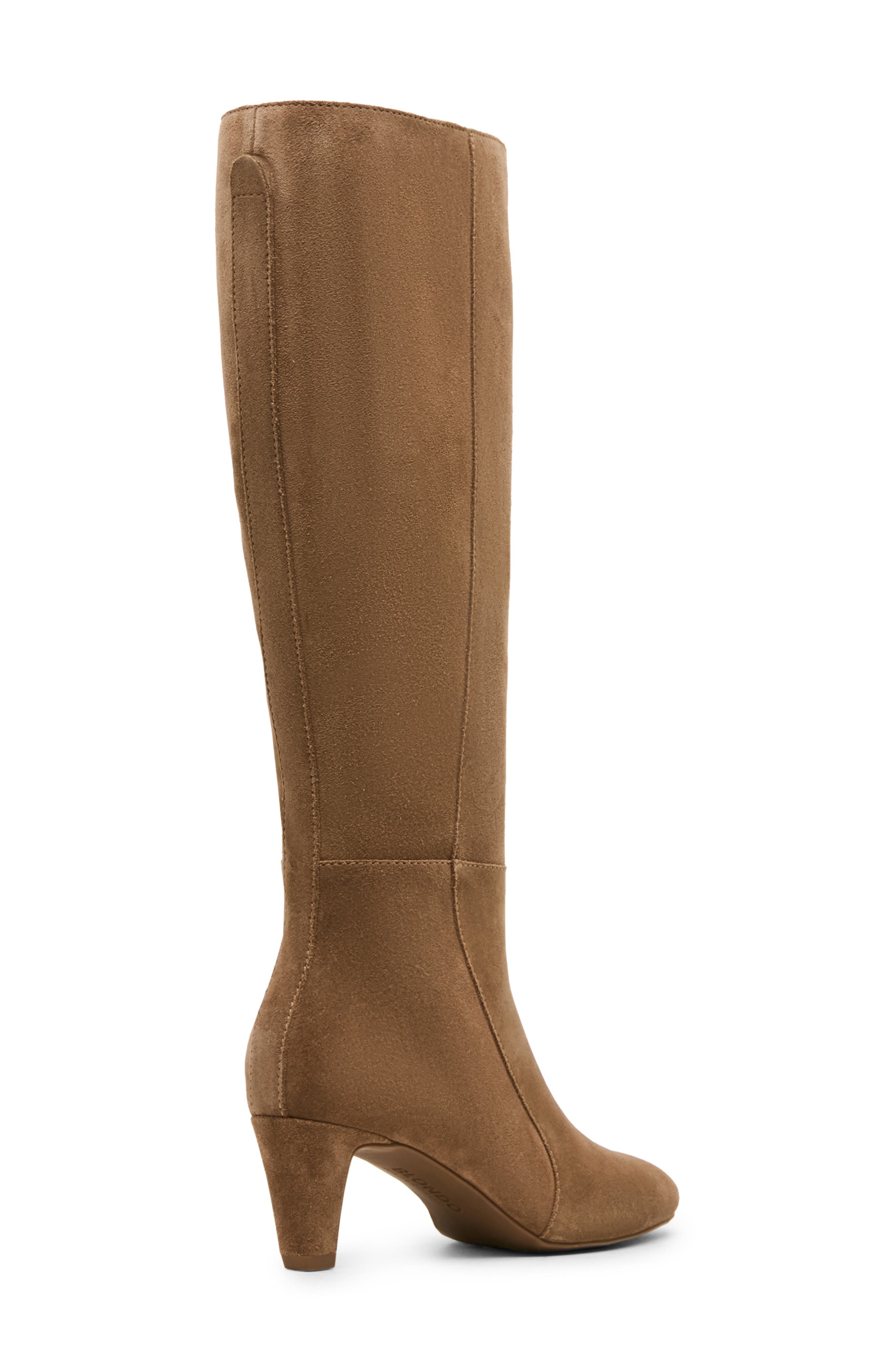 Nadine Leather Knee High Boot, Alternate, color, TAUPE SUEDE