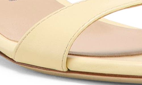 Stuart Weitzman Nudist Leather Ankle-strap Sandals In Lemon Chiffon