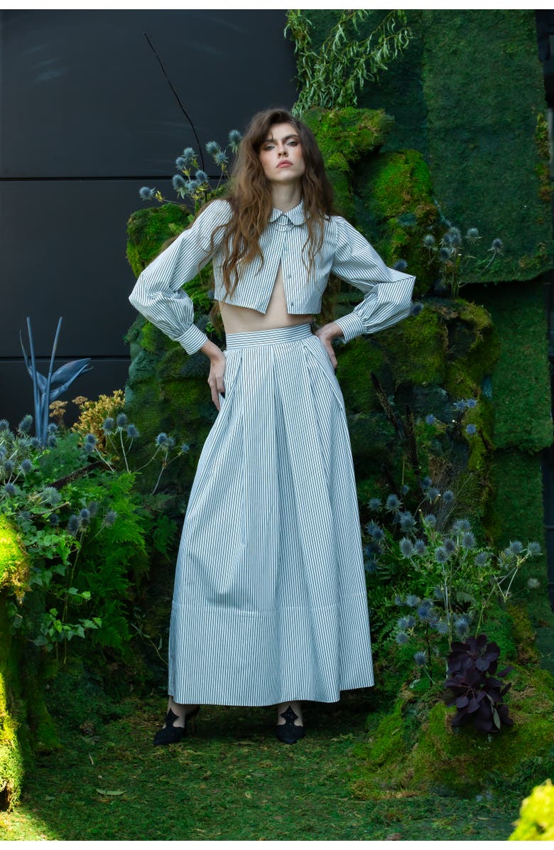 Contessa Mills Thomasin Striped Cotton Poplin Maxi Skirt, Alternate, color, Black-White