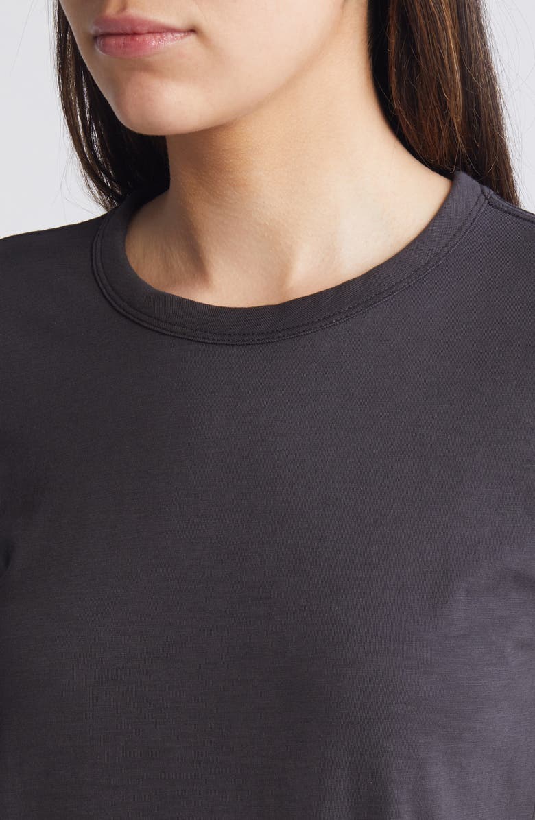 rag & bone The Slub Organic Pima Cotton T-Shirt, Alternate, color, 