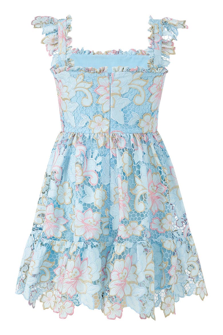 Lilia Embroidered Mini Dress, Alternate, color, Floral