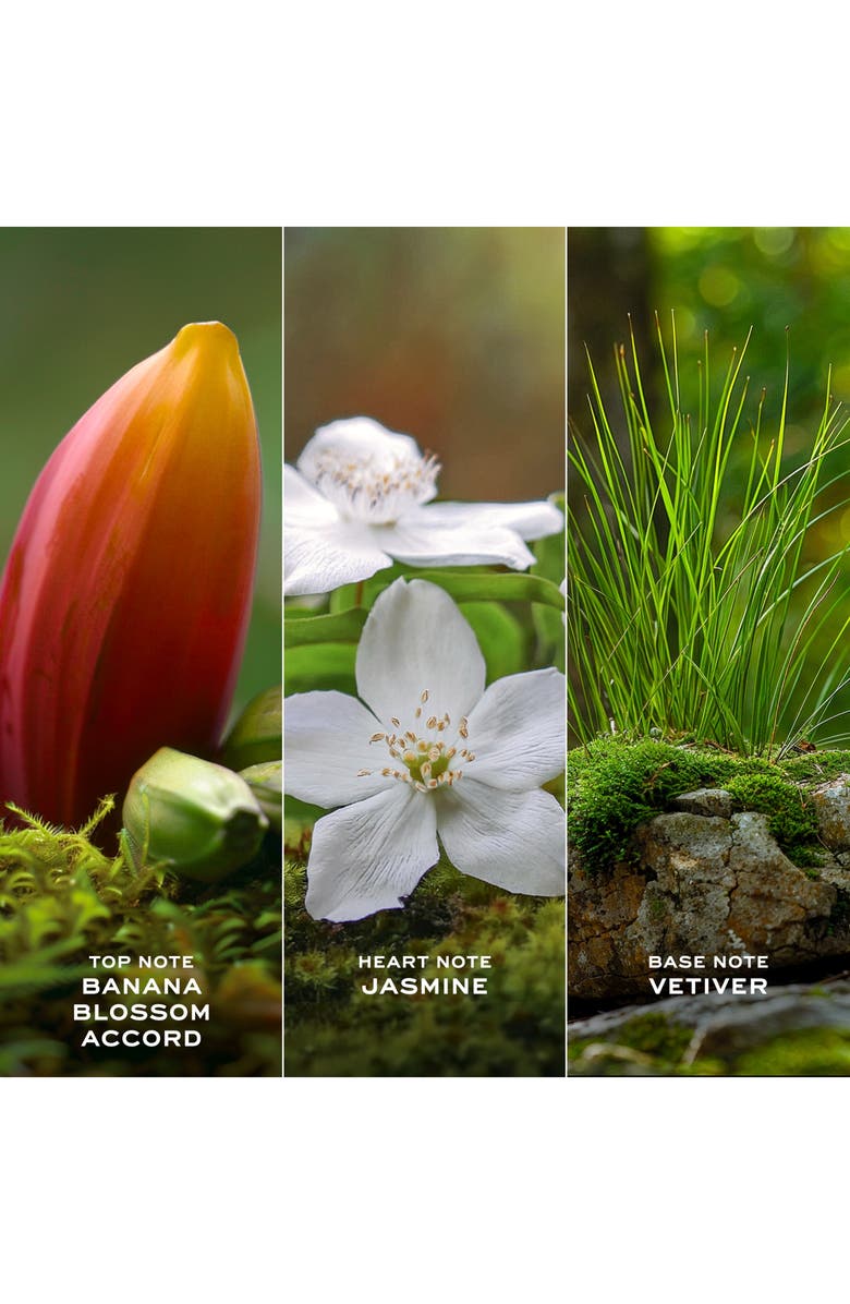 Marc Jacobs Daisy Wild Eau de Parfum Gift Set $229 Value, Alternate, color, 