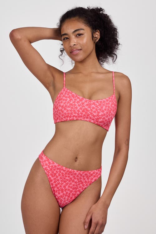 JOLYN JOLYN HALIEWA BIKINI BOTTOM