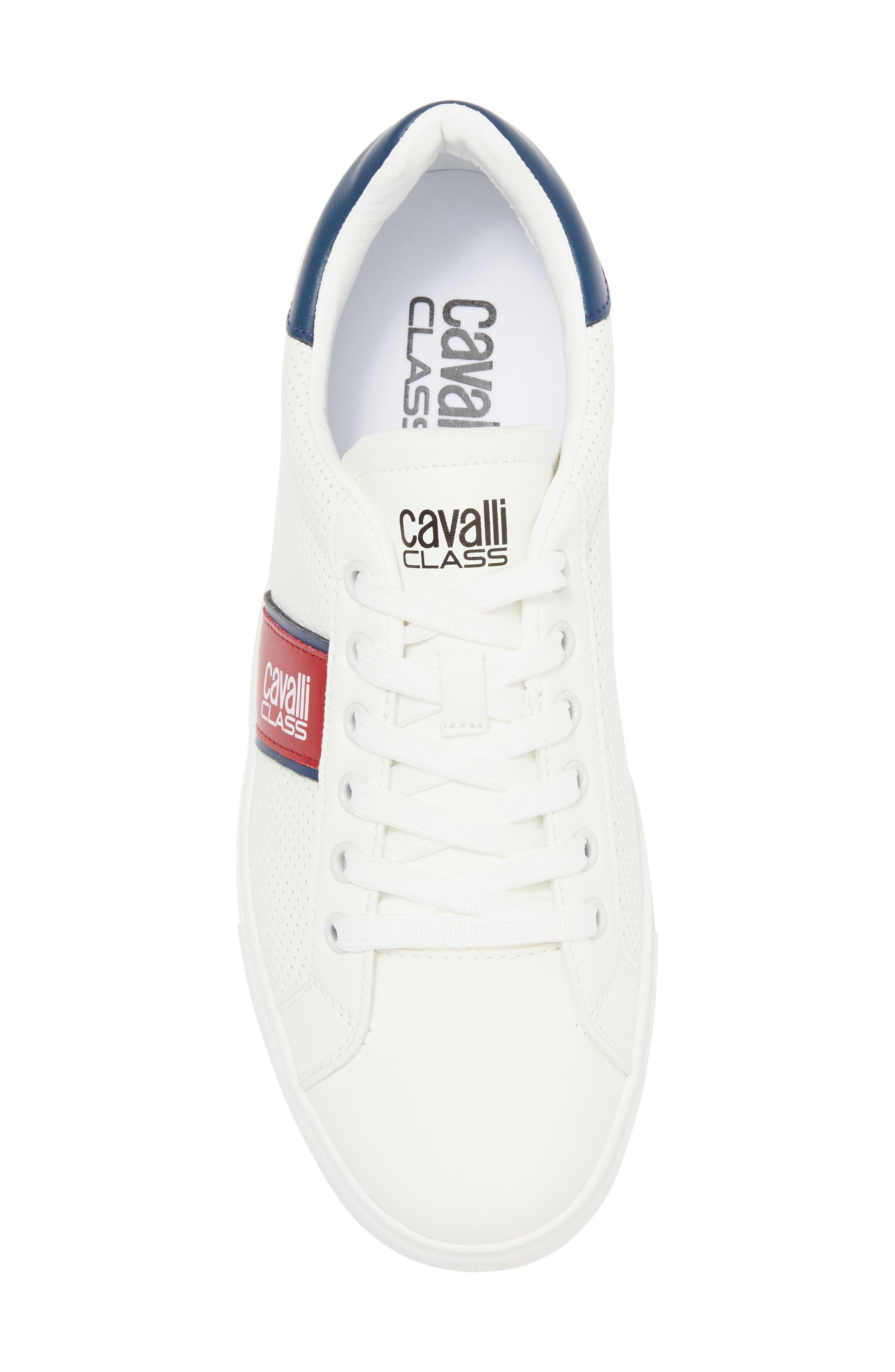 Roberto Cavalli Cavalli Class Low Top Sneaker, Alternate, color, 