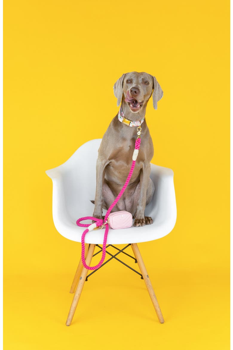 Christine Rope Dog Leash, Alternate, color, Christine 4ft
