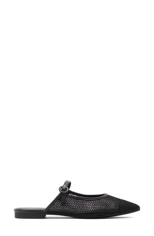 Splendid Mulan Mesh Mule