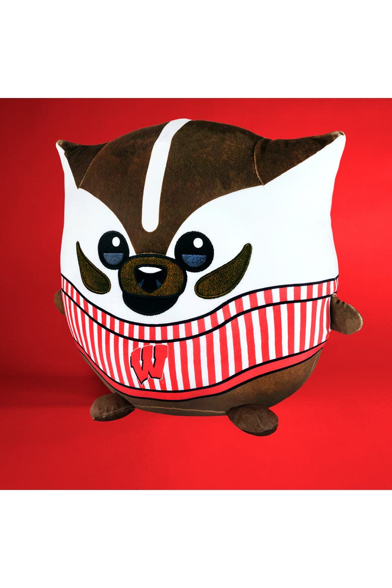 University of Wisconsin Badgers Bucky Badger Kiri Cloud Plushie, Alternate, color, None