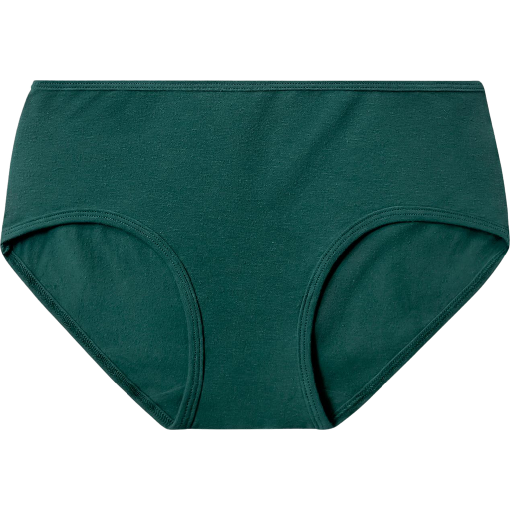 Proclaim Organic Cotton Mid Rise Brief In Multi