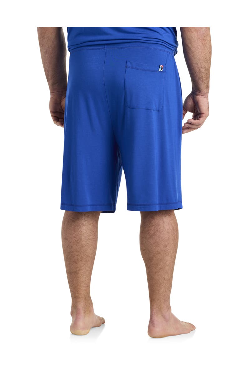 Robert Graham DXL Big & Tall  Pajama Shorts, Alternate, color, 
