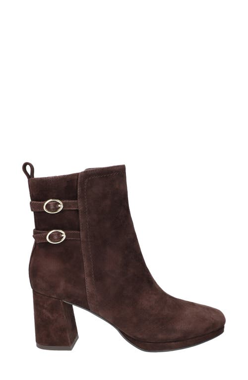 Bella Vita Orchard Moto Bootie In Brown
