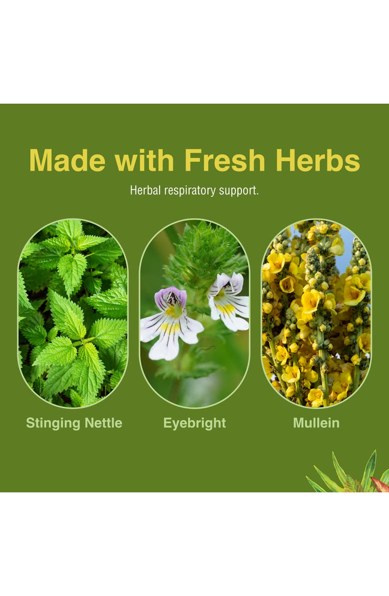 Herbs Etc. Allertonic Herbal Respiratory Support Softgels, 120 Count, Alternate, color, NO COLOR