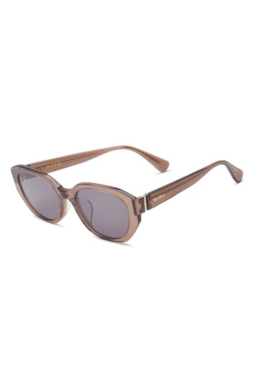 Max Mara 54mm Round Sunglasses In Brown