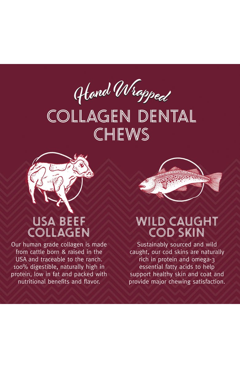 ICELANDIC+ Beef Collagen Dental Chew Stick Wrapped with Fish 8" Dog Treat, Alternate, color, Brown