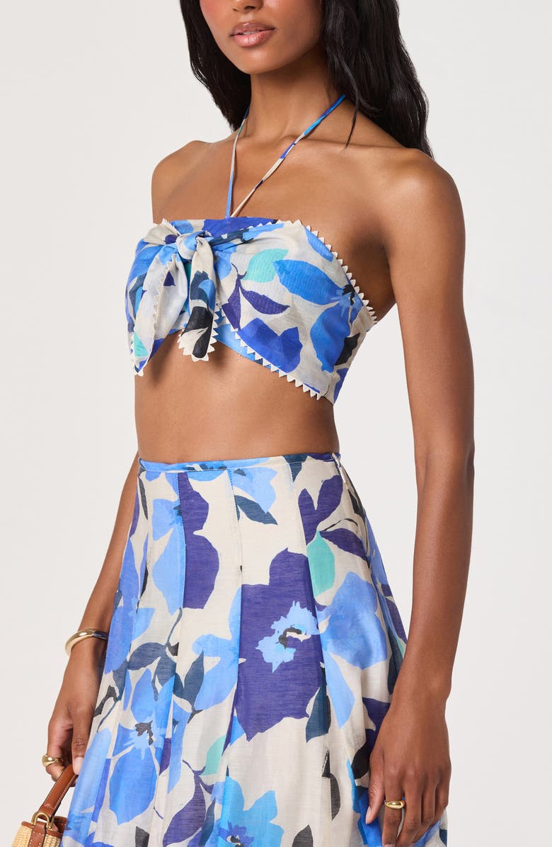 ASTR the Label Kaley Floral Paneled Maxi Skirt, Alternate, color, Blue Floral