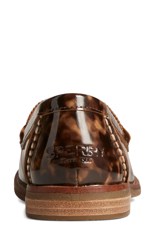 Sperry Seaport Penny Loafer In Brown
