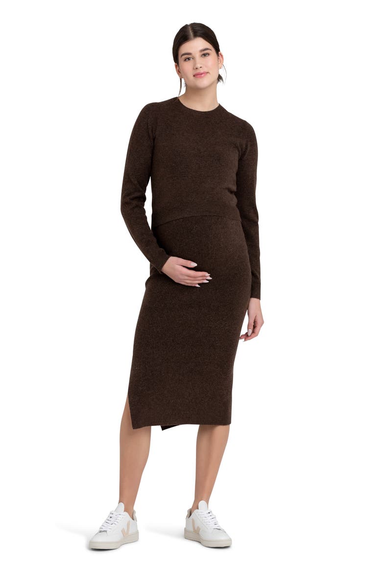 Sandy Detachable Maternity Nursing Top, Alternate, color, CHOCOLATE