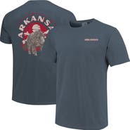 IMAGE ONE Men's Navy Arkansas Razorbacks Comfort Colors Team Statue T-Shirt