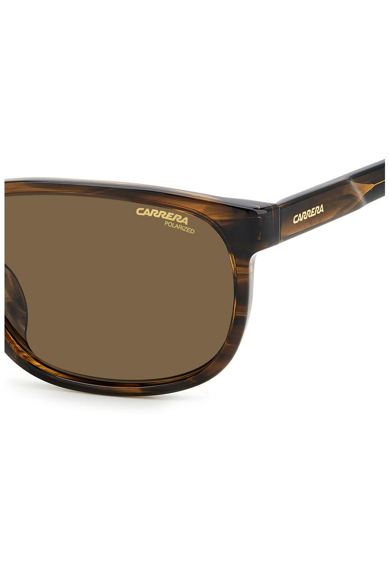 C Flex 58mm Polarized Rectangle Sunglasses, Alternate, color, BROWN HORN
