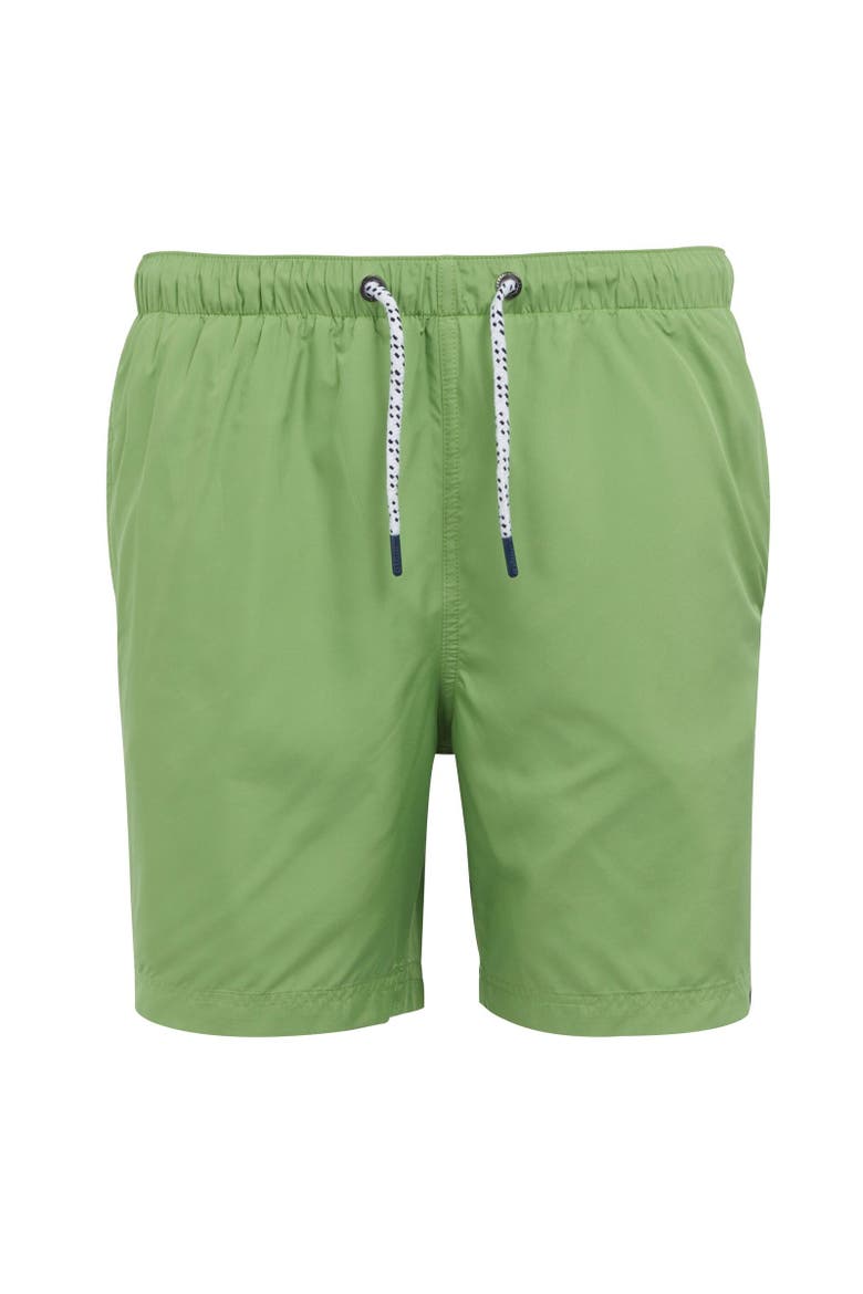 Mackleyna Swim Shorts, Main, color, Piquant Green