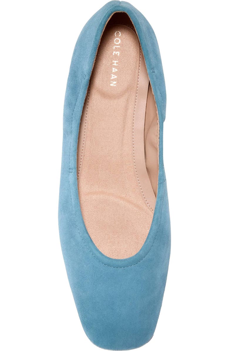 Cole Haan Go-To Valinda Ballet Flat, Alternate, color, Provincial Blue Sd