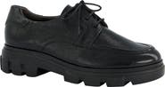 Paul Green Char Oxford