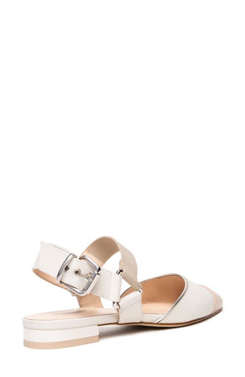 Nerogiardini Pointed Toe Flat