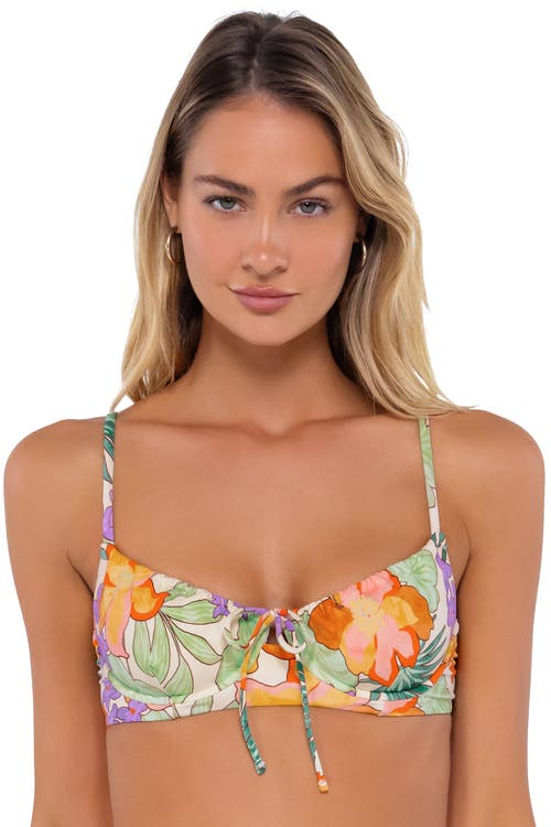 Swim Systems Avila Underwire In Waimea