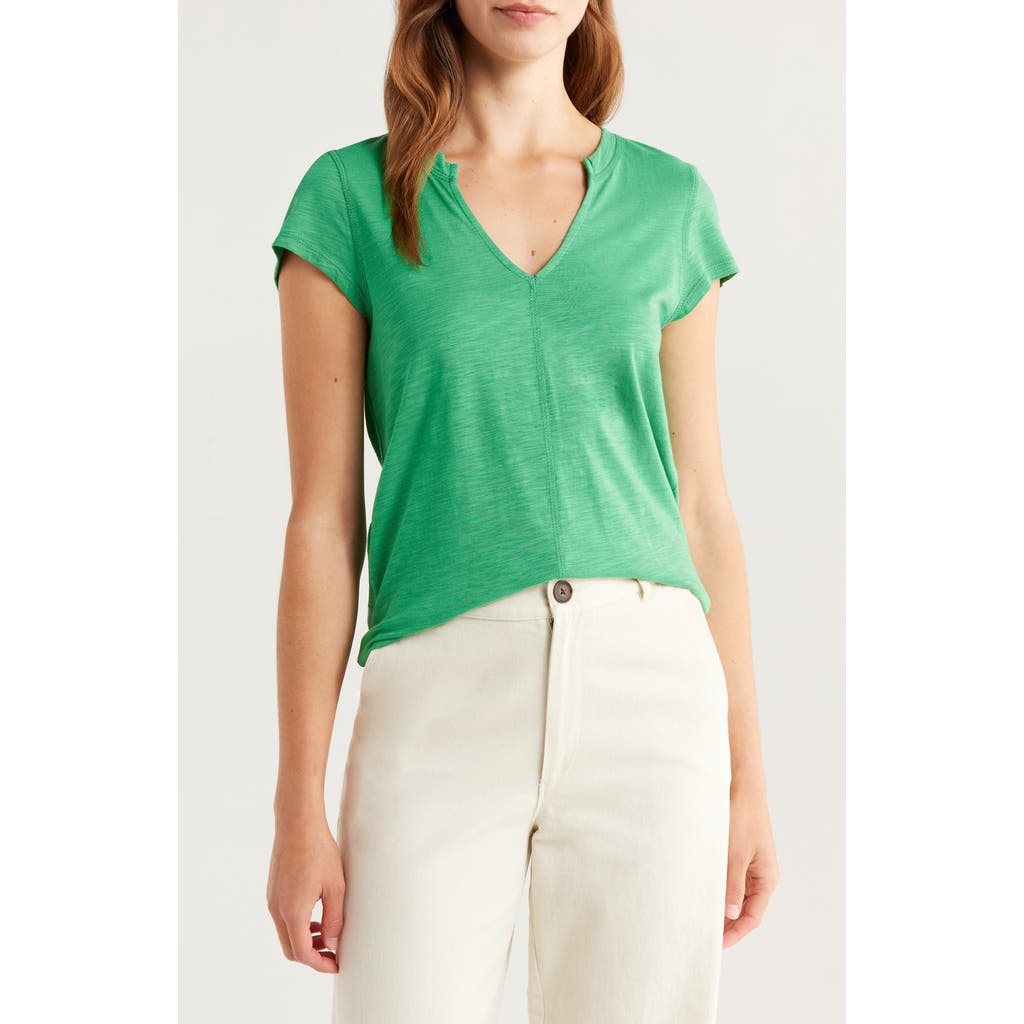 Sanctuary The New Girl Split Neck T-shirt In Green
