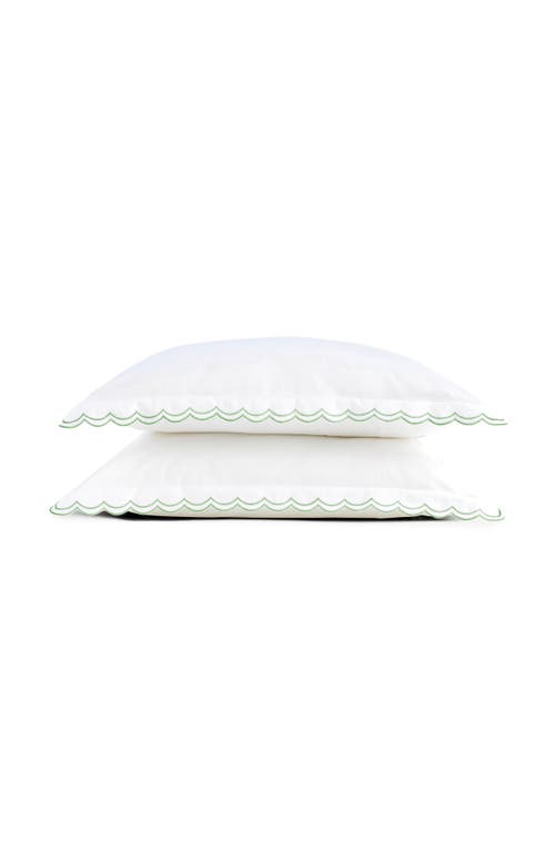 Christy Scallop Edge Luxury Cotton Sateen Oxford Style Pillow Sham Pairs