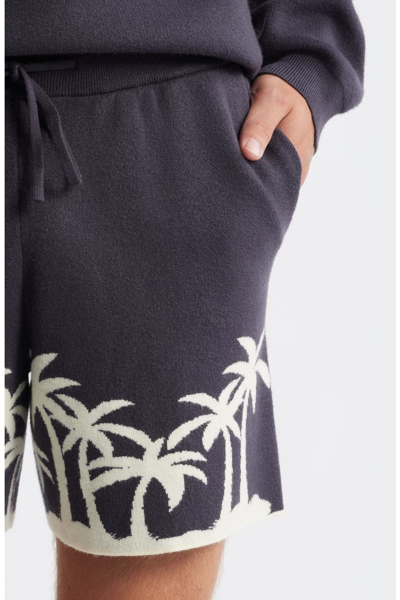 Palm Beach Knit Shorts, Alternate, color, GREY