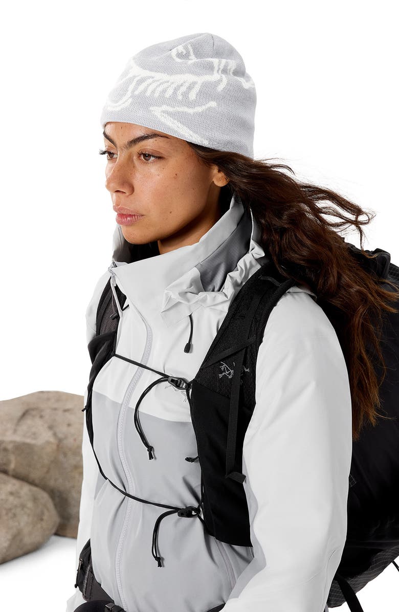 Arc'teryx Bird Head Merino Wool Blend Beanie, Alternate, color,