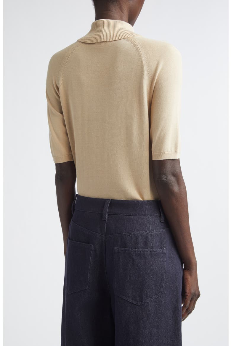 Raglan Sleeve Turtleneck Sweater, Alternate, color, PLASTER