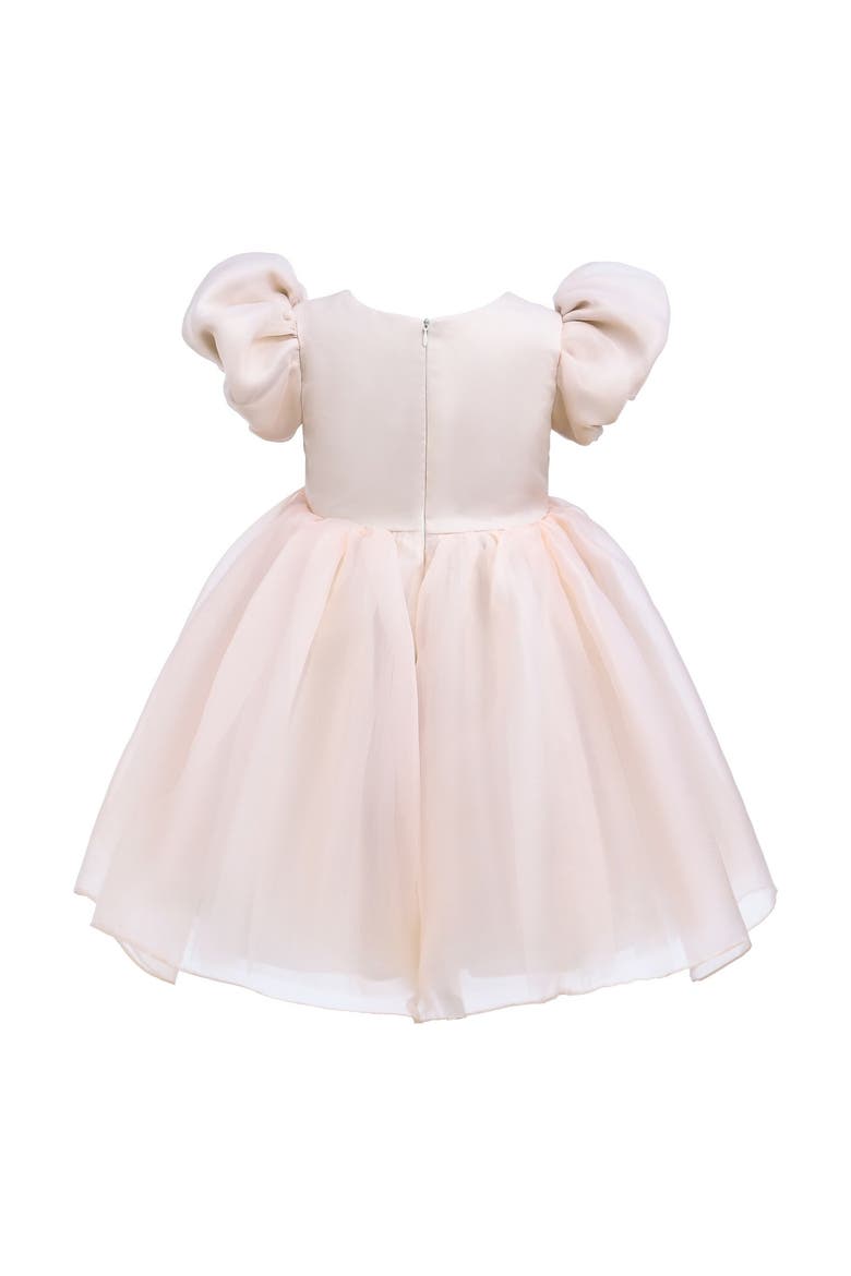 D'Amico Dress, Alternate, color, Champagne