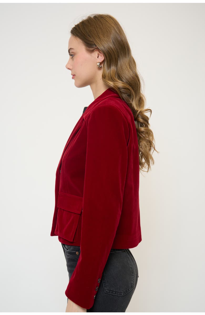 Central Park West Ember Velvet Boxy Blazer, Alternate, color, Burgundy