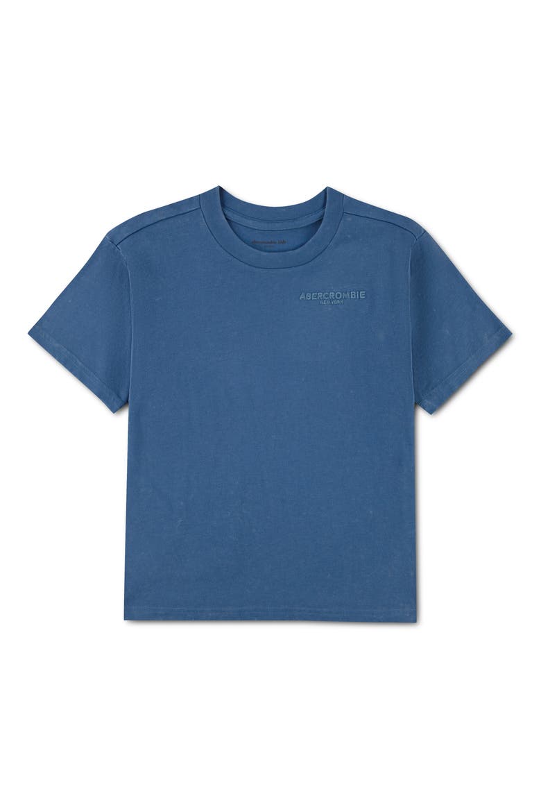 Kids' Sunfaded Logo T-Shirt, Main, color, MOONLIGHT BLUE