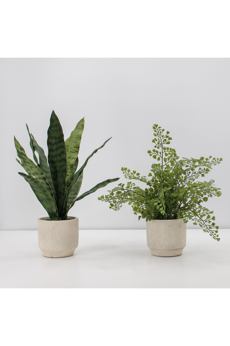 16" Faux Snake Plant and Fern Set in Cream Pot, Main, color, Crème