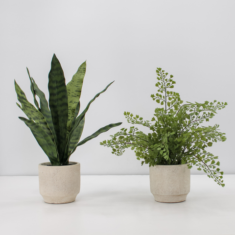 16" Faux Snake Plant and Fern Set in Cream Pot
