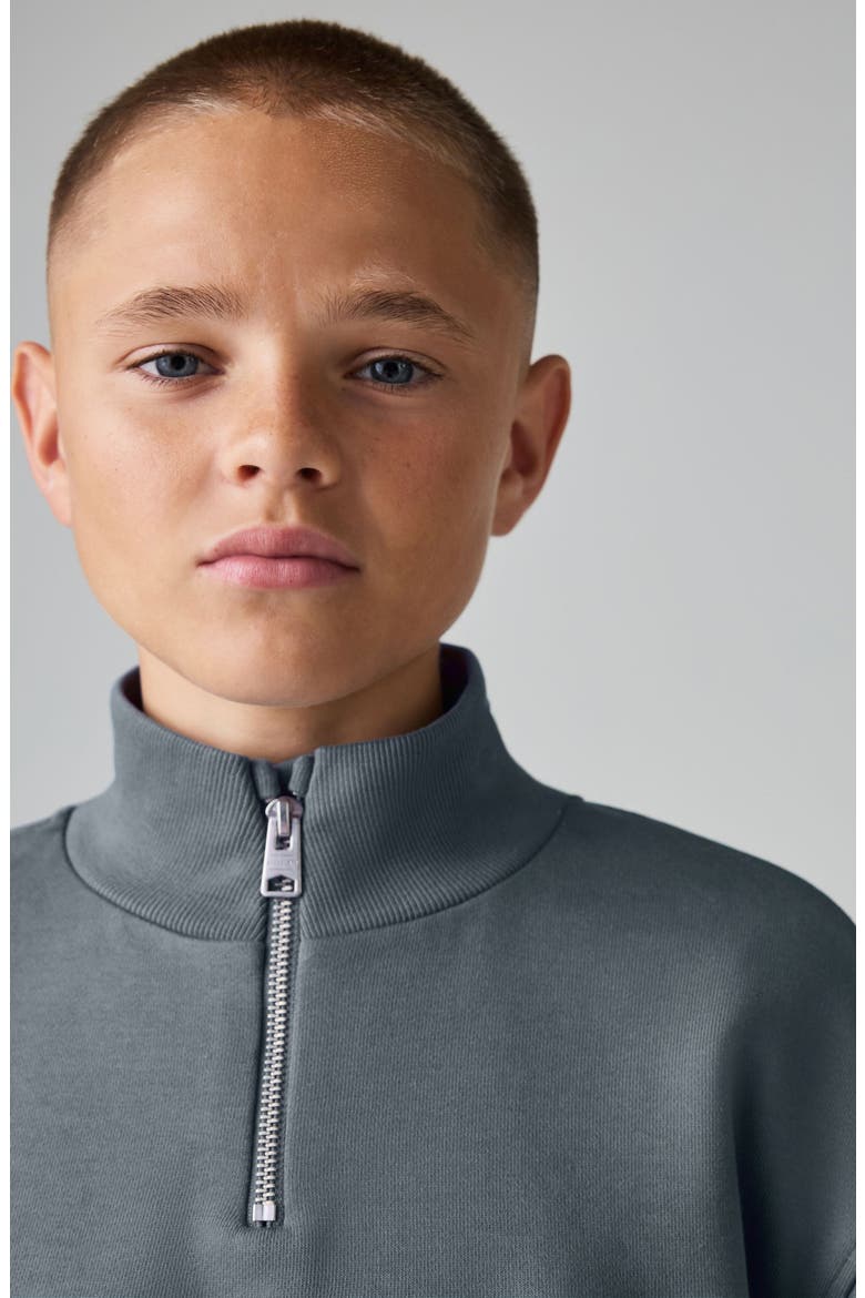 Kids' Biggy Quarter Zip Sweatshirt, Alternate, color, DUSKY BLUE