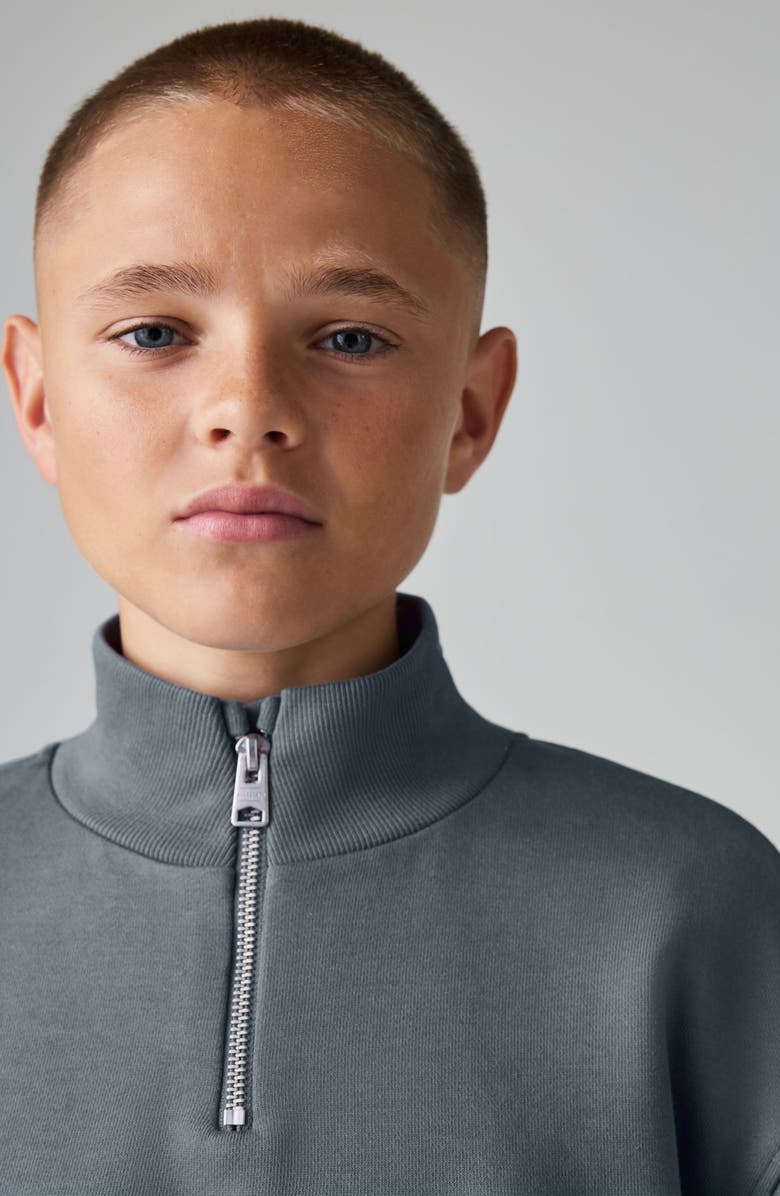 smALLSAINTS by ALLSAINTS Kids
 Biggy Quarter Zip Sweatshirt, Alternate, color, Dusky Blue