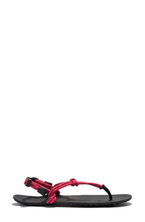 Xero Shoes Genesis Rope Style Barefoot Sandal