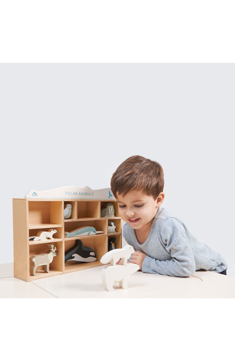 Tender Leaf Toys Polar Animals 10-Piece Wooden Toy Set & Shelf, Alternate, color, Multi