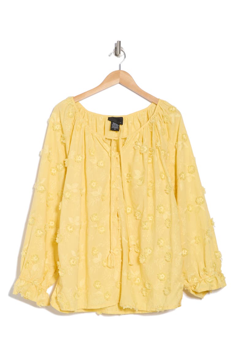 Floral Embroidered Long Sleeve Button-Up Top, Alternate, color, YELLOW