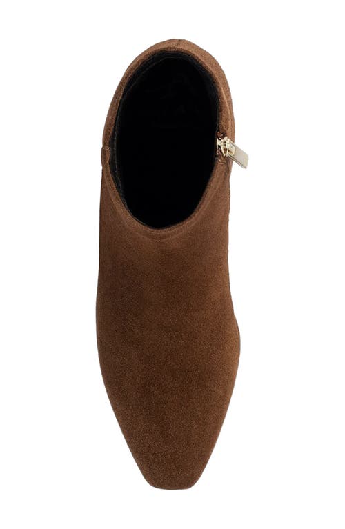 Aquatalia Carmie Cow Suede Bootie In Brown