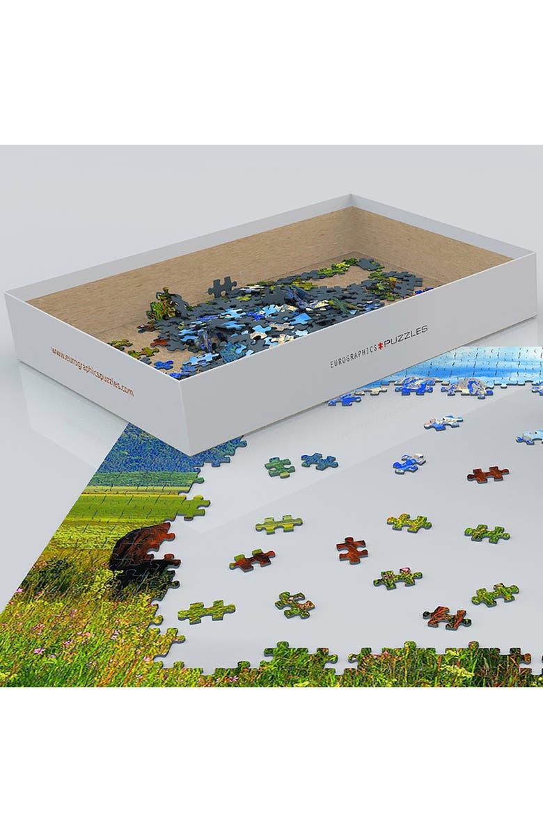 Eurographics Grand Teton National Park Puzzle, 1000 Pieces, Alternate, color, Multicolored