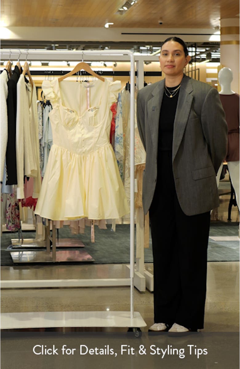 Sisi Embroidered Stretch Cotton Minidress, sales video thumbnail