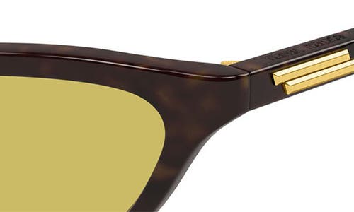 Bottega Veneta 56mm Cat Eye Sunglasses In Brown