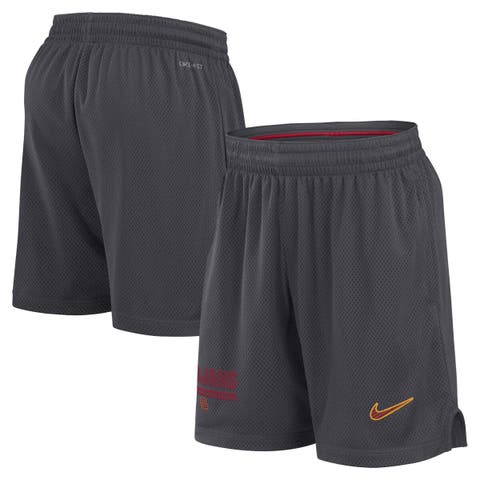 Men's Nike Anthracite USC Trojans 2024 Sideline Performance Mesh Shorts