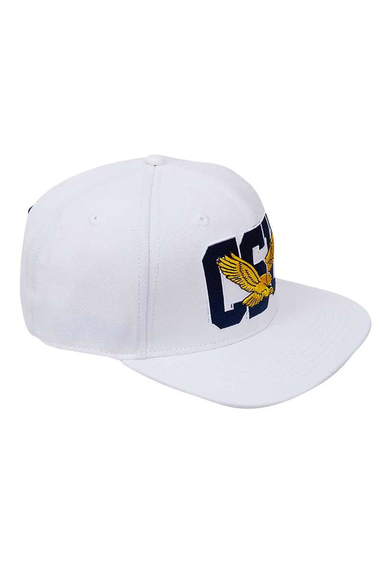 Men's Pro Standard White Coppin State Eagles  Evergreen Wool Snapback Hat, Main, color, White