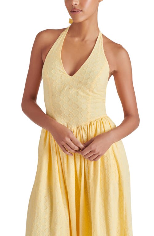 Steve Madden Ressi Eyelet Embroidered Cotton Halter Dress In Golden Glow